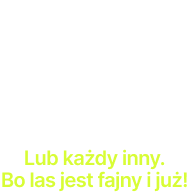 Lub każdy inny. Bo las jest fajny i już!